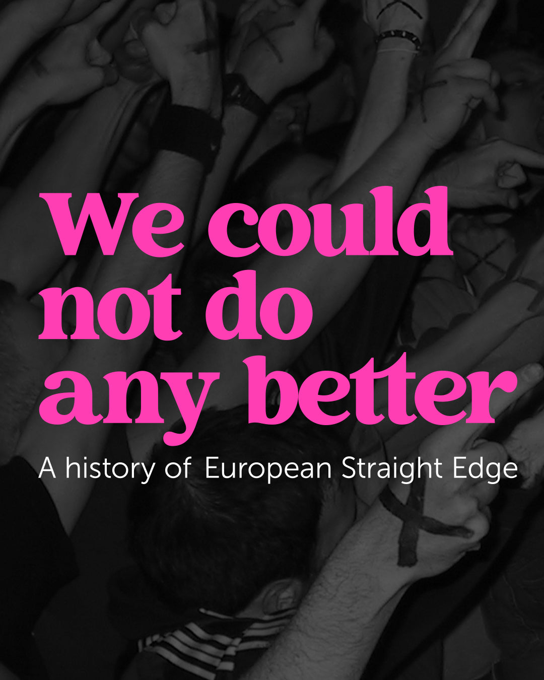 'WE COULD NOT DO ANY BETTER - A History Of European Straight Edge' Book