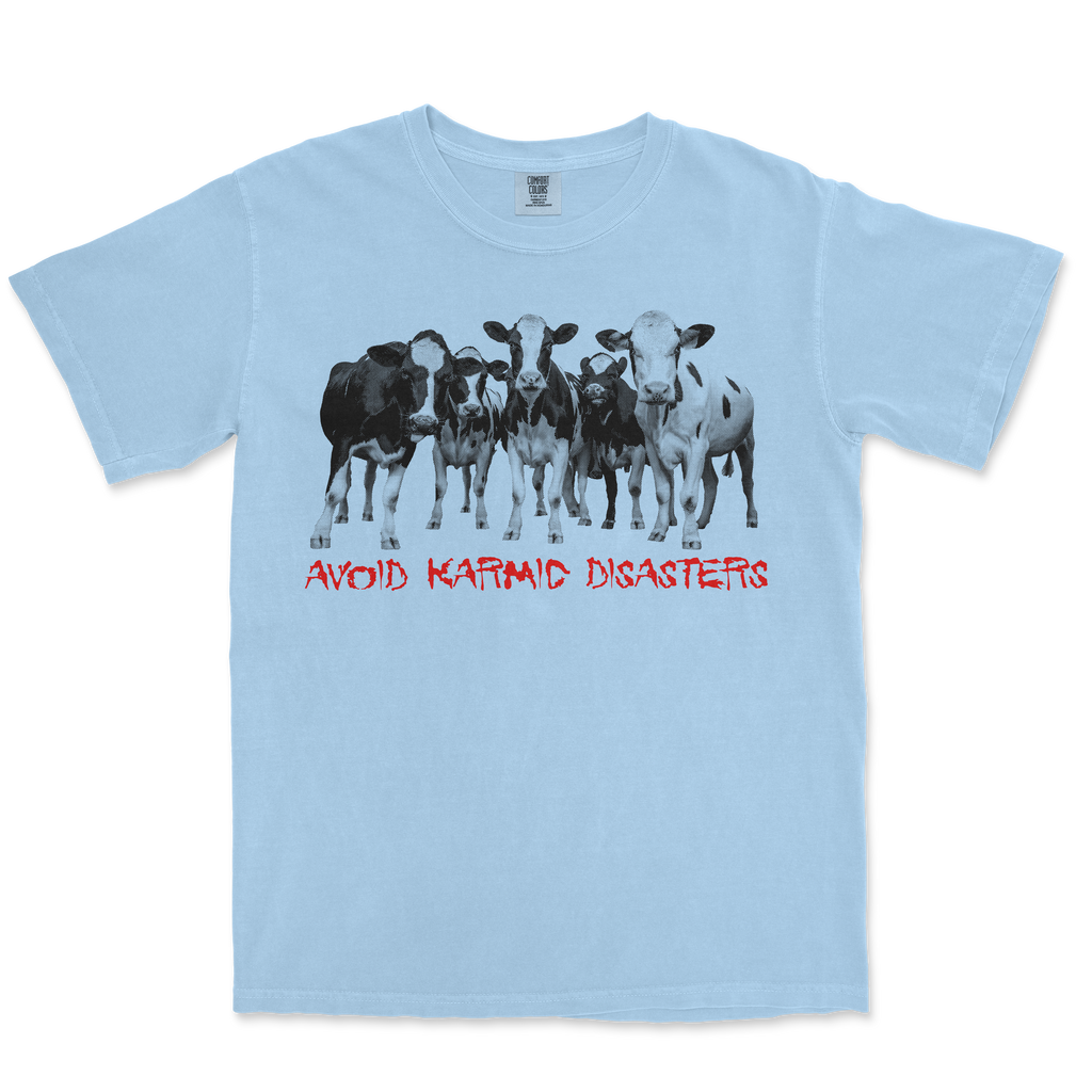 PRE-ORDER: DEVARISHI RECORDS 'Avoid Karmic Disasters' T-Shirt / LIGHT BLUE