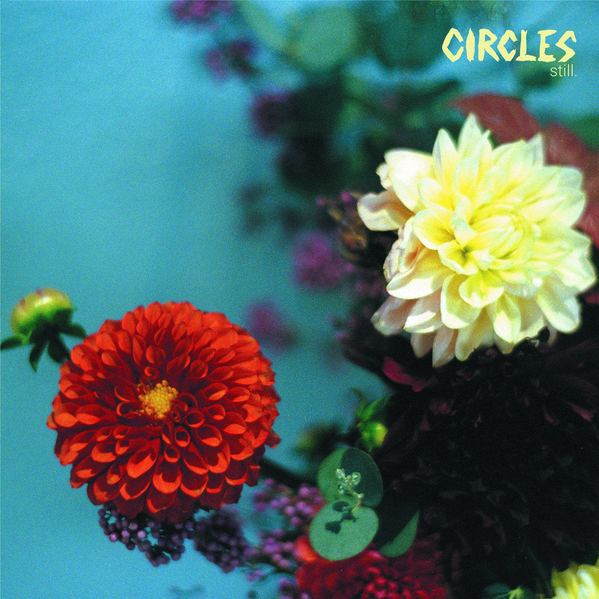 CIRCLES 'Still' LP / SNOWY WHITE EDITION