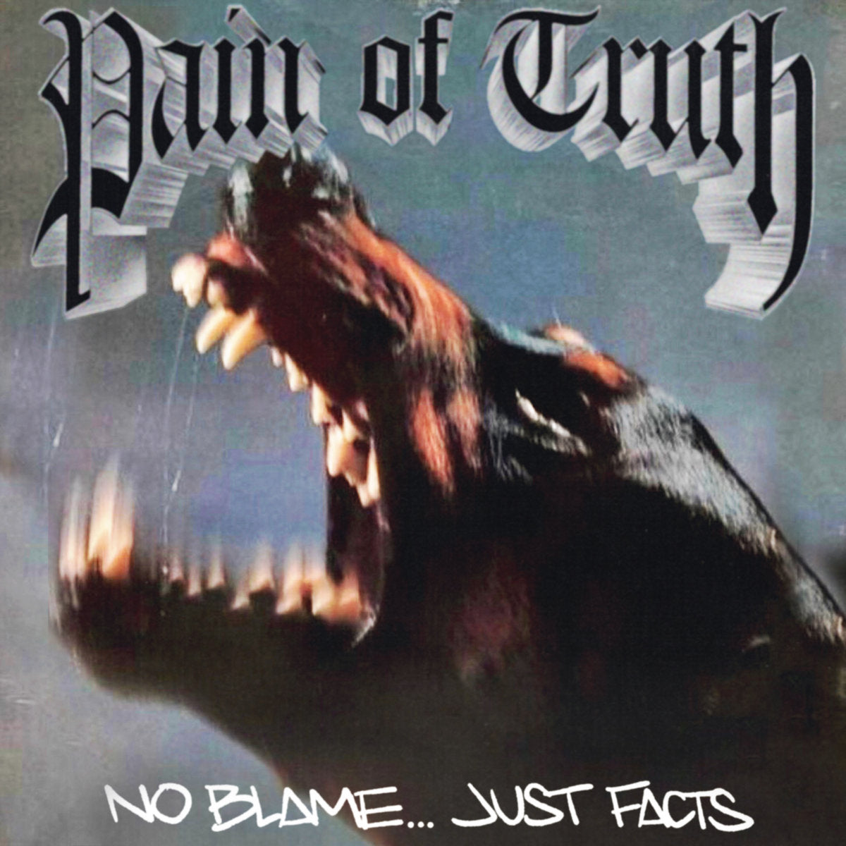 PAIN OF THE TRUTH 'No Blame...Just Facts' 12"