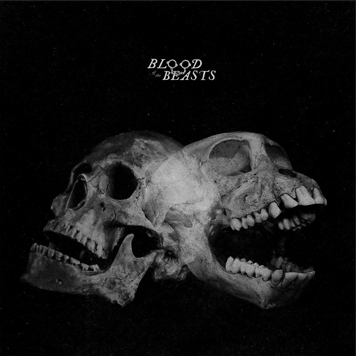 SECT 'Blood Of The Beasts' LP