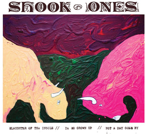 SHOOK ONES 'Slaughter Of The Insole' 7" / GREEN & BLACK MARBLE EDITION